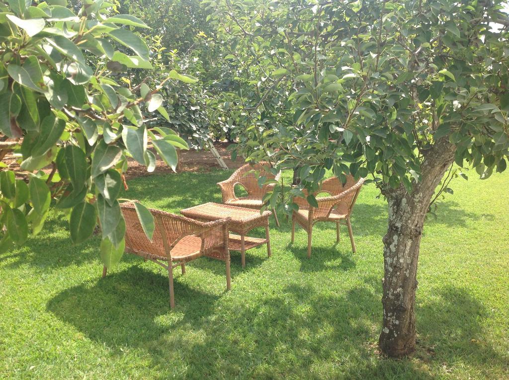 Agriturismo L'Agrumeto Otranto Exteriér fotografie